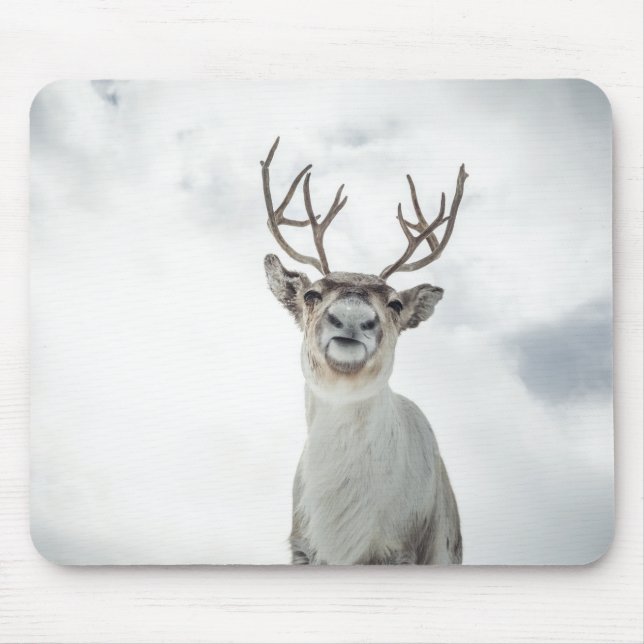 Rentier Nature Foto Mousepad (Vorne)