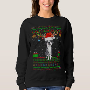 Rentier Weihnachtsmannmütze Matching Ugly Boston T Sweatshirt