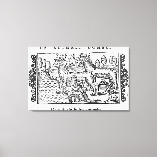 Rentiere Leinwanddruck (Vorderseite)