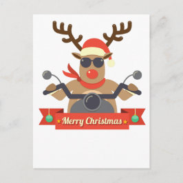 Rentiere Postkarte