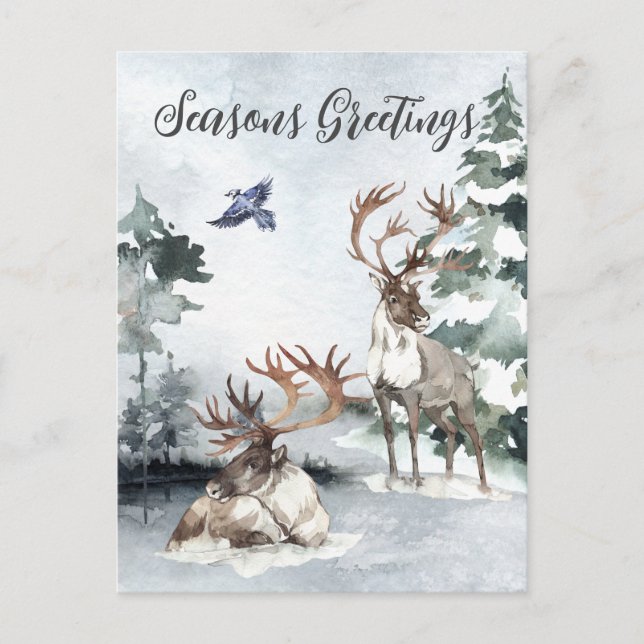 Rentiere Weihnachts-Winterlandschaft Wasserfarbe Postkarte (Vorderseite)