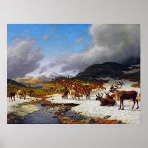 Rentierherde im Norden von Røros Poster