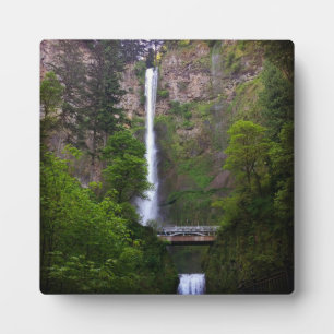 Reparatur der Multnomah Falls Bridge, OR Fotoplatte