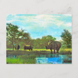 Replica Vintage Rhinoceros, südafrikanische Reserv Postkarte