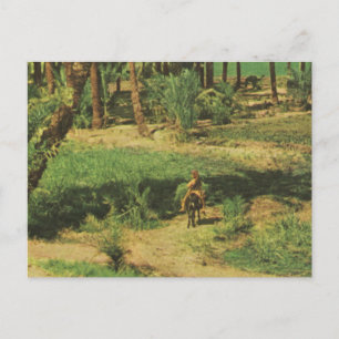 Replik Ägypten Vintage, Landwirtschaft im Nildelt Postkarte