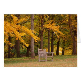 Repos pour pendant quelque temps