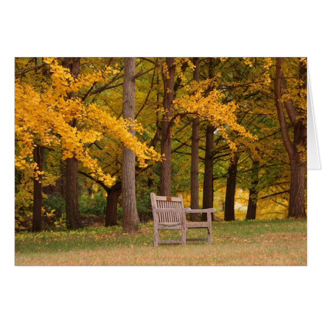 Reposez-vous (Devant horizontal)