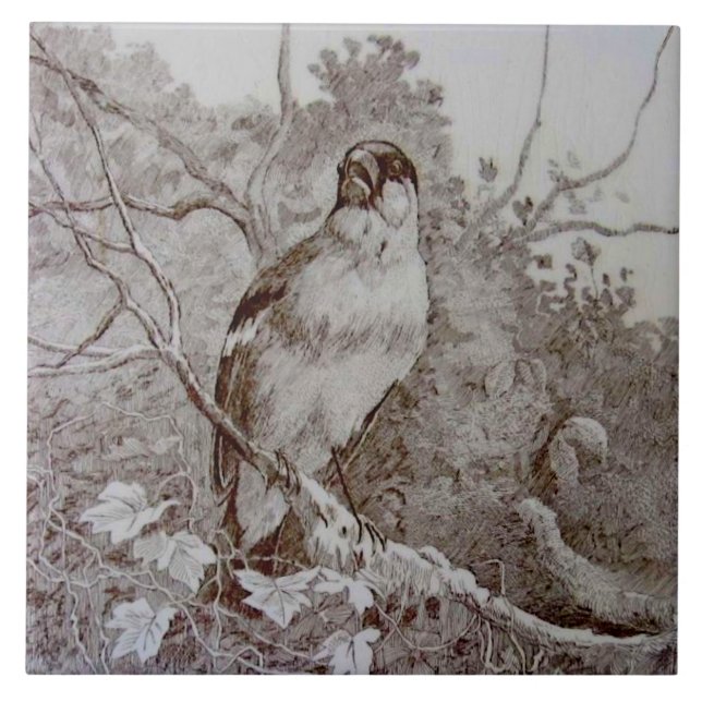 Repro 1886 Minton Sepia Transferware Bird Art TIle Fliese (Vorderseite)