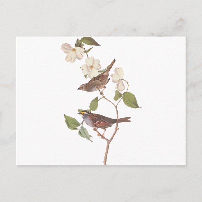 Reproduction Postkarte (Vorderseite)