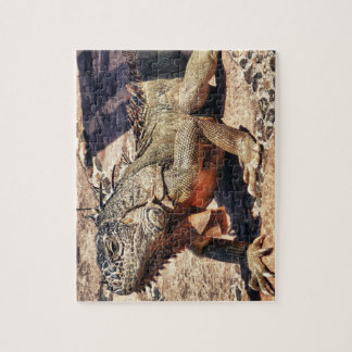 Reptil