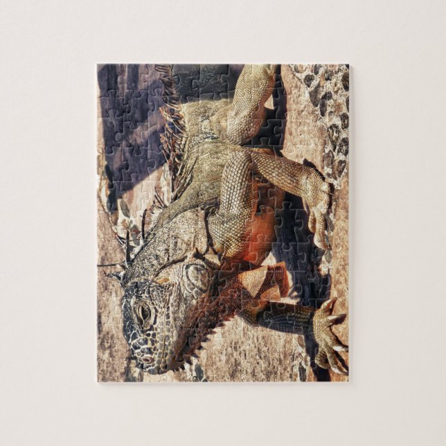 Reptil (Vertikal)