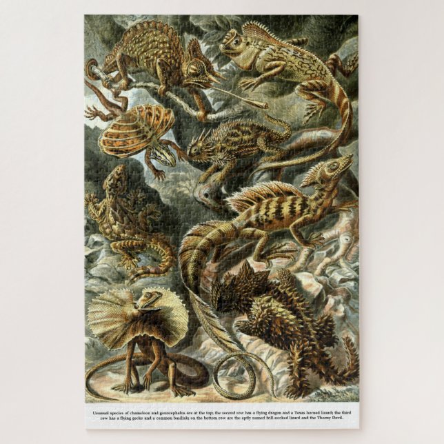 Reptile Lizards von Ernst Haeckel (Vertikal)
