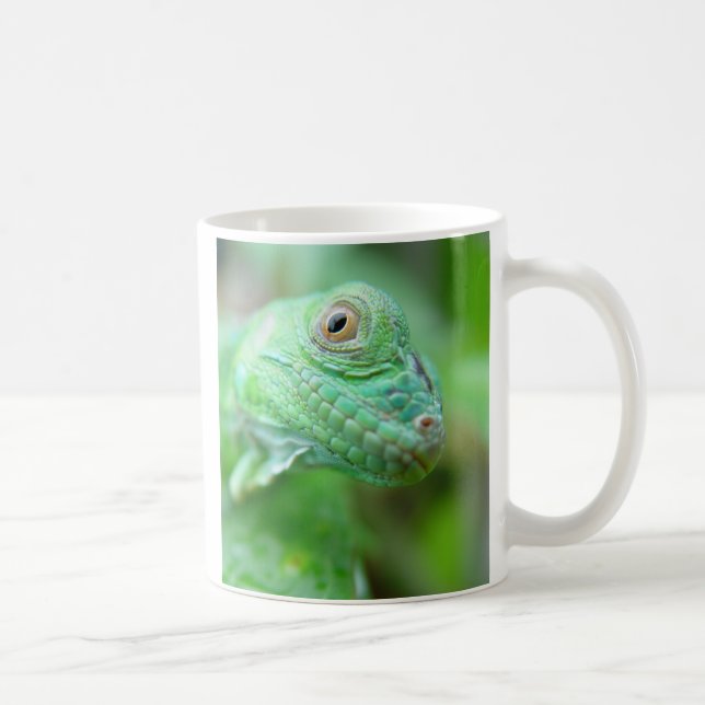 Reptile vert de lézard d'iguane sur la tasse de (Droite)