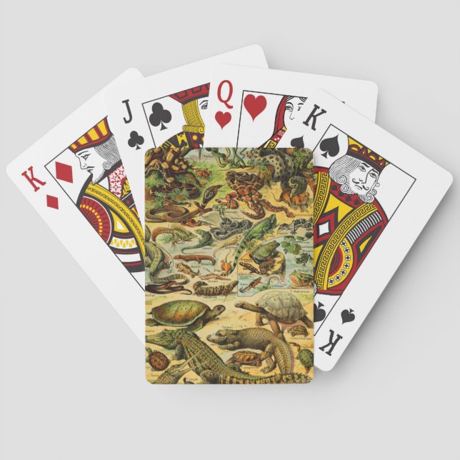 REPTILES SPIELKARTEN (Rückseite)