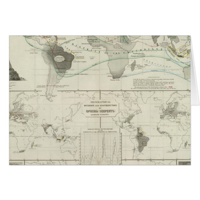 Reptilia, Ophidia (Devant horizontal)