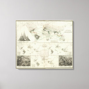 Reptilia, Ophidia Leinwanddruck