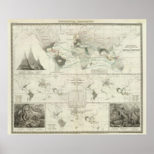 Reptilia, Ophidia Poster