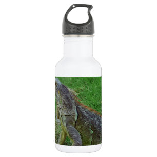 Reptilian Look.JPG Trinkflasche