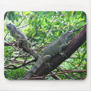 Reptilian-Ruhe Mousepad