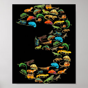 Reptilien Eidechsen 3. Geburtstag 3 Jahre altes Ge Poster