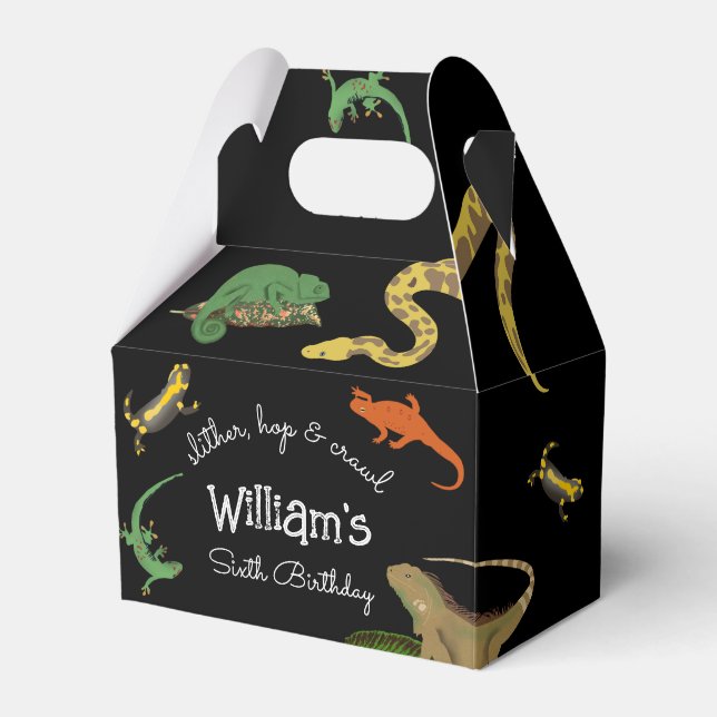 Reptilien, Eidechsen und Amphibien Kindergeburtsta Geschenkschachtel (Vorderseite)