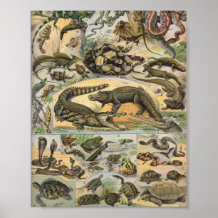Reptilien-Illustration von Adolphe Millot Poster
