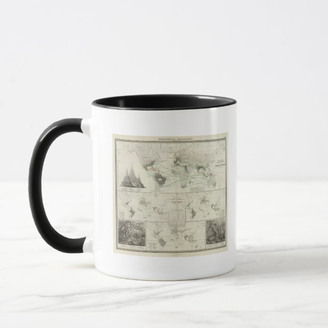 Reptilien, Ophidia Tasse (Links)