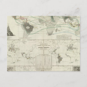 Reptilien, Ophidien Postkarte