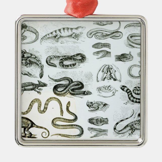 Reptilien, Schlangen und Eidechsen Ornament Aus Metall (Vorne)