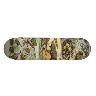 Reptilien Skateboard