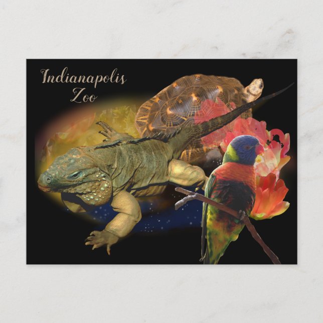 Reptilien und Vögel aus Indianapolis Zoo Postkarte (Vorderseite)