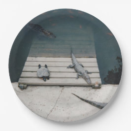 Reptiliengehäuse Pappteller