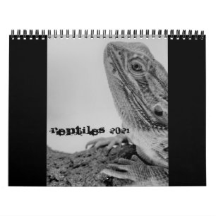 Reptilienkalender 2021 kalender