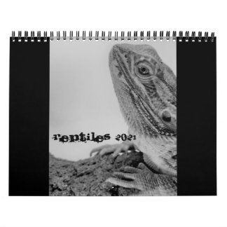 Reptilienkalender 2021 kalender