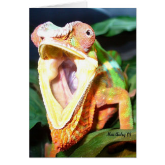 Reptilienkarte