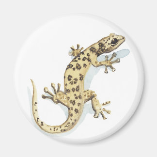 Reptilienmagnet Magnet