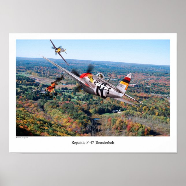 Republik P-47 Thunderbolzen Poster (Vorne)