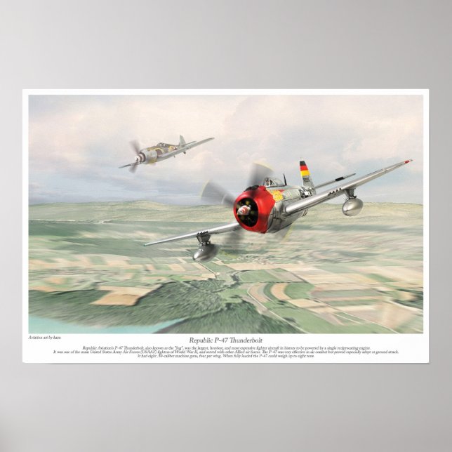 Republik P-47 Thunderbolzen Poster (Vorne)