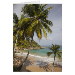 République Dominicaine, Côte Nord, Abreu, Playa