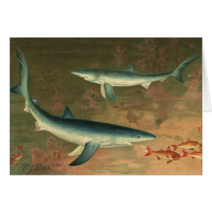 Requin bleu vintage mangeant du poisson, Marine Li