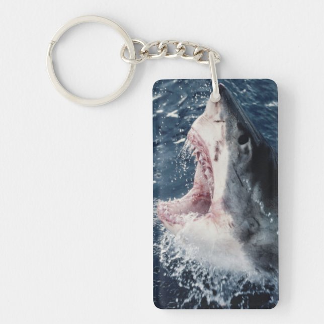 Requin élevé bouche ouverte (Devant)