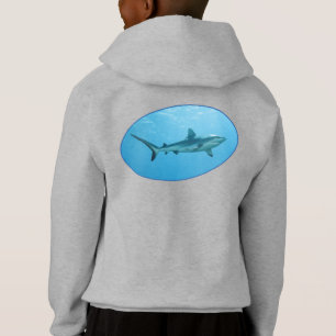 Requin gris, île Yap - Conception photographique  