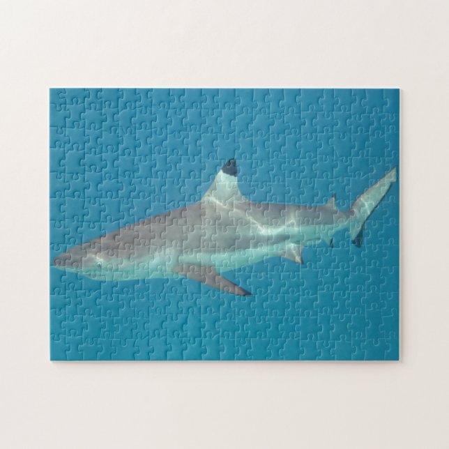 Requin nageant le puzzle sous-marin (Horizontal)