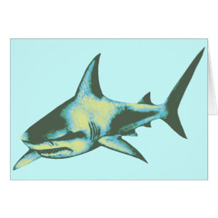 requins, animaux sauvages