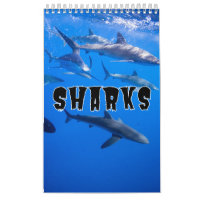 Requins Collection Showcase Wall Calendrier