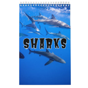 Requins Collection Showcase Wall Calendrier