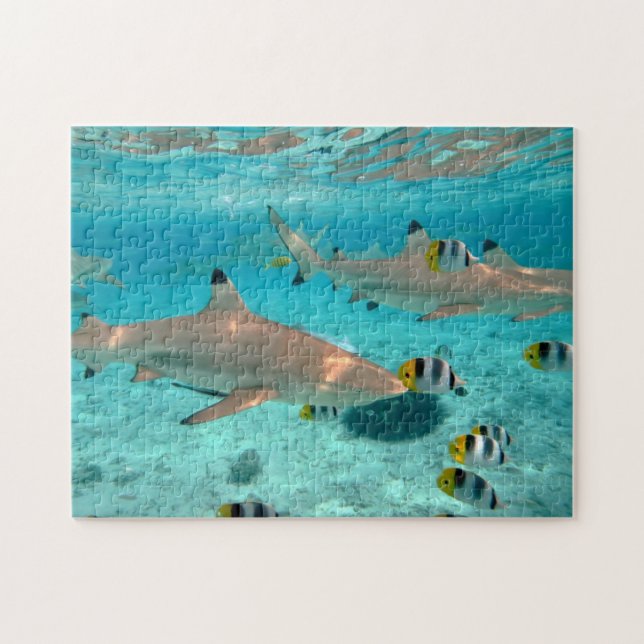 Requins dans le puzzle denteux de lagune de Bora (Horizontal)