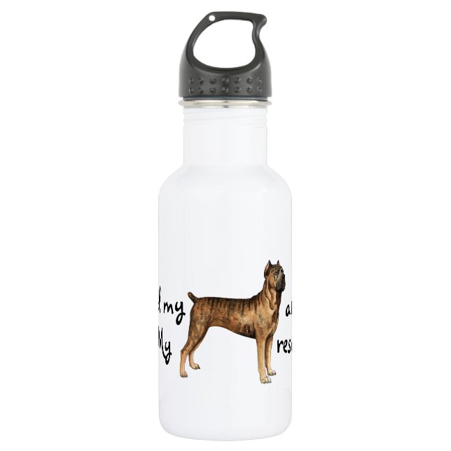Rescue Cane Corso Trinkflasche (Vorderseite)