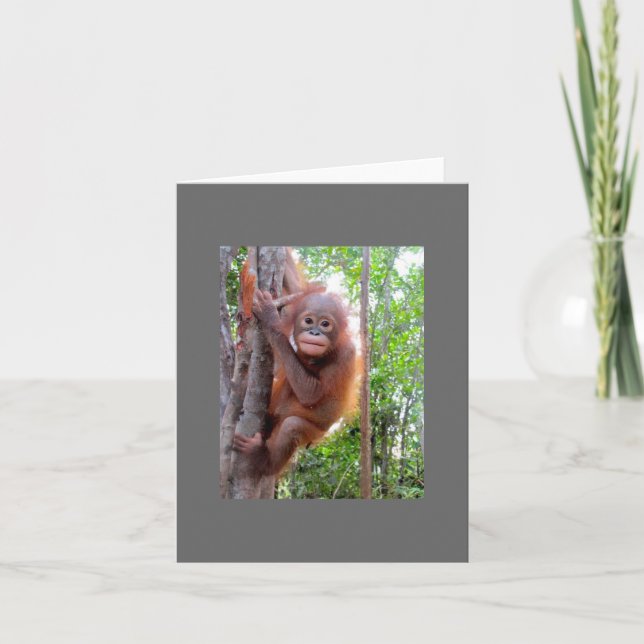 Rescued Baby Orangutan Uttuh Karte (Vorderseite)
