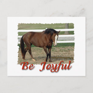 Rescuted Morgan Horse: Sei froh Postkarte